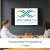 Consulenza-Introduttiva-1-ora